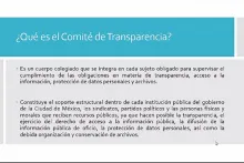 Captura de pantalla de la sesión virtual