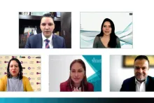 Captura de pantalla de la sesión virtual