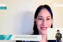 Captura de pantalla de la sesión virtual
