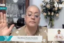 Captura de pantalla de la sesión virtual