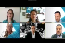 Captura de pantalla de la sesión virtual