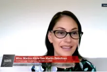 Captura de pantalla de la sesión virtual